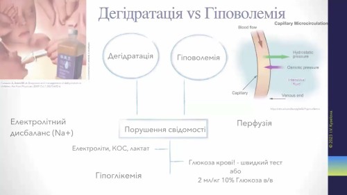 Відіотека.